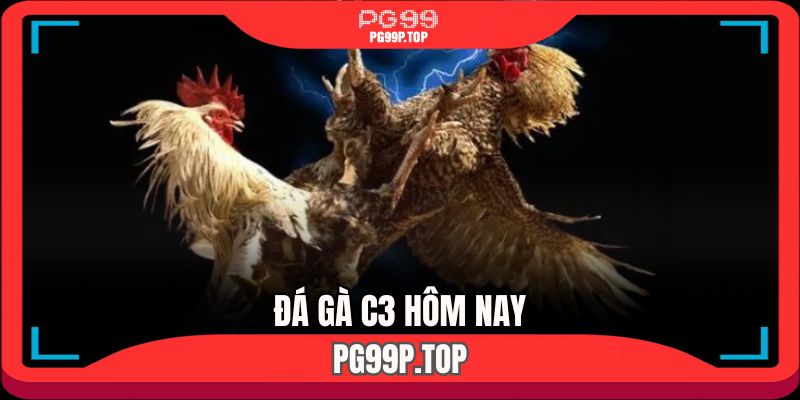 da-ga-c3-hom-nay