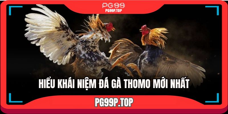 Tân thủ nên đọc để hiểu khái niệm đá gà thomo mới nhất là gì?