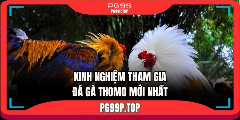 Kinh nghiệm tham gia trò chơi hấp dẫn này