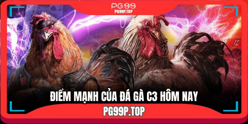 Các ưu điểm nổi bật mà đá gà C3 hôm nay sở hữu