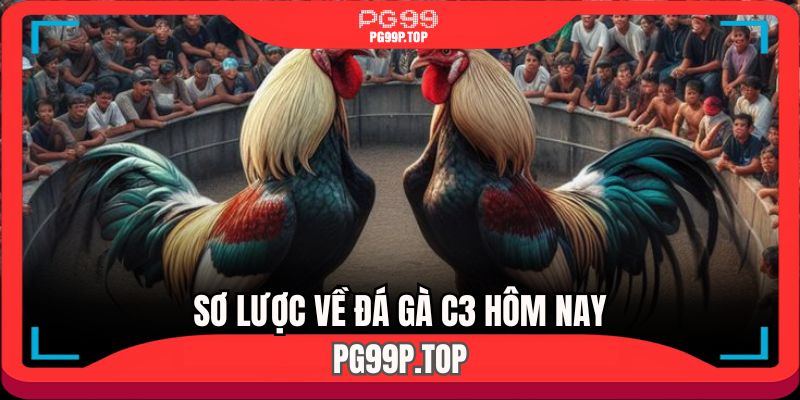 Sơ lược đôi nét về đá gà C3 hôm nay